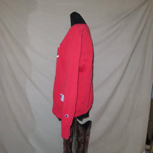 Load image into Gallery viewer, Champion vintage sweater (XL)
