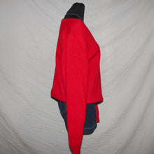 Load image into Gallery viewer, Polo Sport red v-cut sweater (L)
